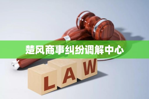 楚風商事糾紛調解中心破產清算服務 專業(yè)、高效、公正的債務解決方案